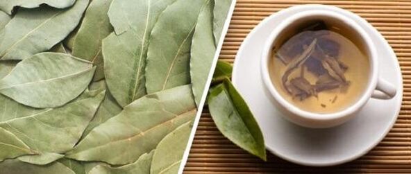 Treatment of laurel leaf arthrosis